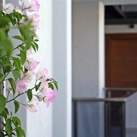 Queen Residences & بودروم